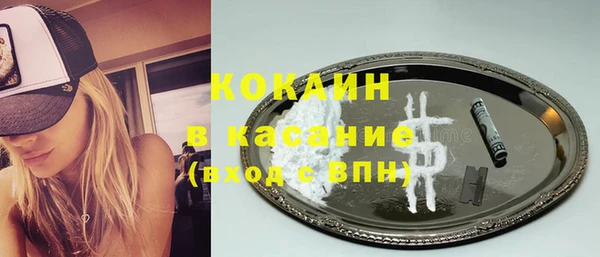 гидропоника Дмитриев