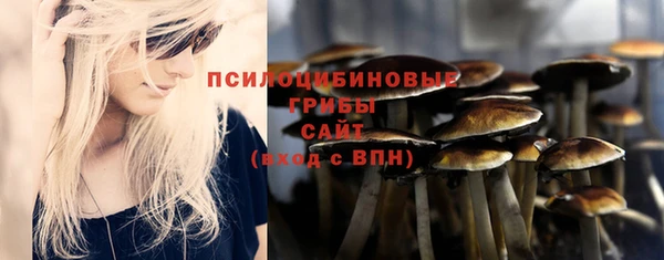 2c-b Дмитровск