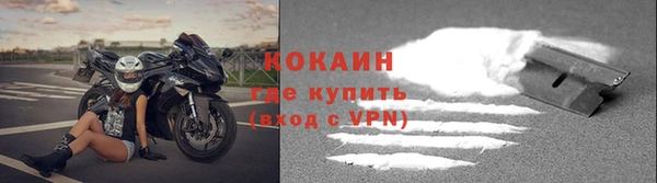 гидропоника Дмитриев